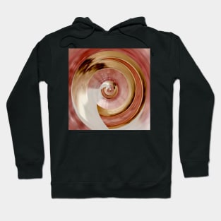 pink and gold whirl Hoodie